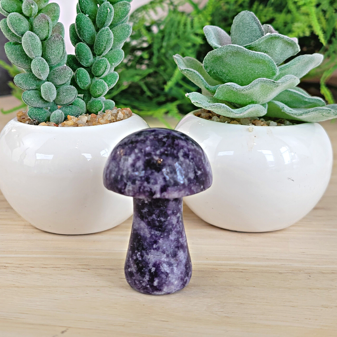 Gemstone Mushroom-Assorted