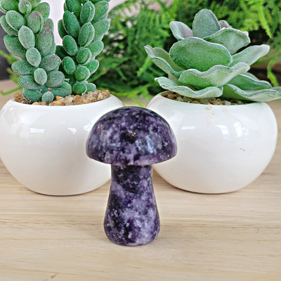 Gemstone Mushroom-Assorted