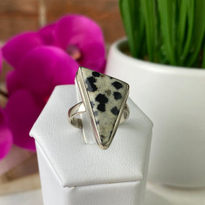 Gemstone Polished sterling silver Ring-Sized, (watermelon tourmaline, rhodochrosite, dalmation jasper, rhodochrosite, labradorite)