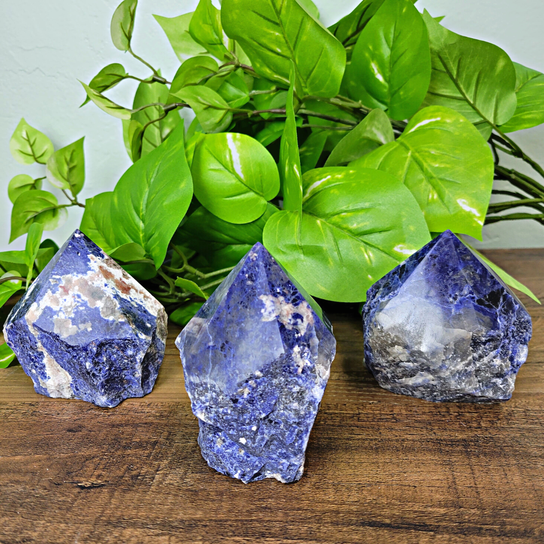 Gemstone Polished Tips - Mookaite and Sodalite 3-5"