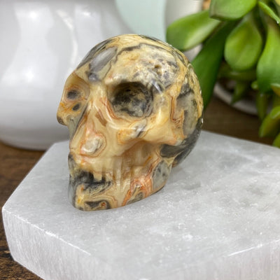 Gemstone Skull 1.5" - Assorted