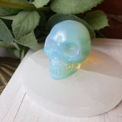 Gemstone Skull 2-Inch - Assorted