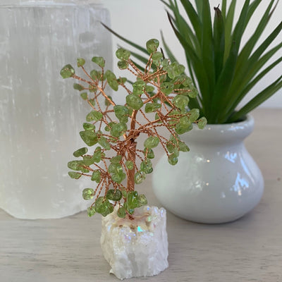 Gemstone Tree on Agate Druzy Base 2.5" x 4.5"