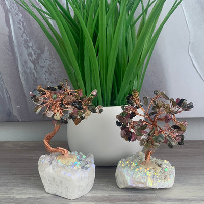 Gemstone Tree on Agate Druzy Base 2.5" x 4.5"