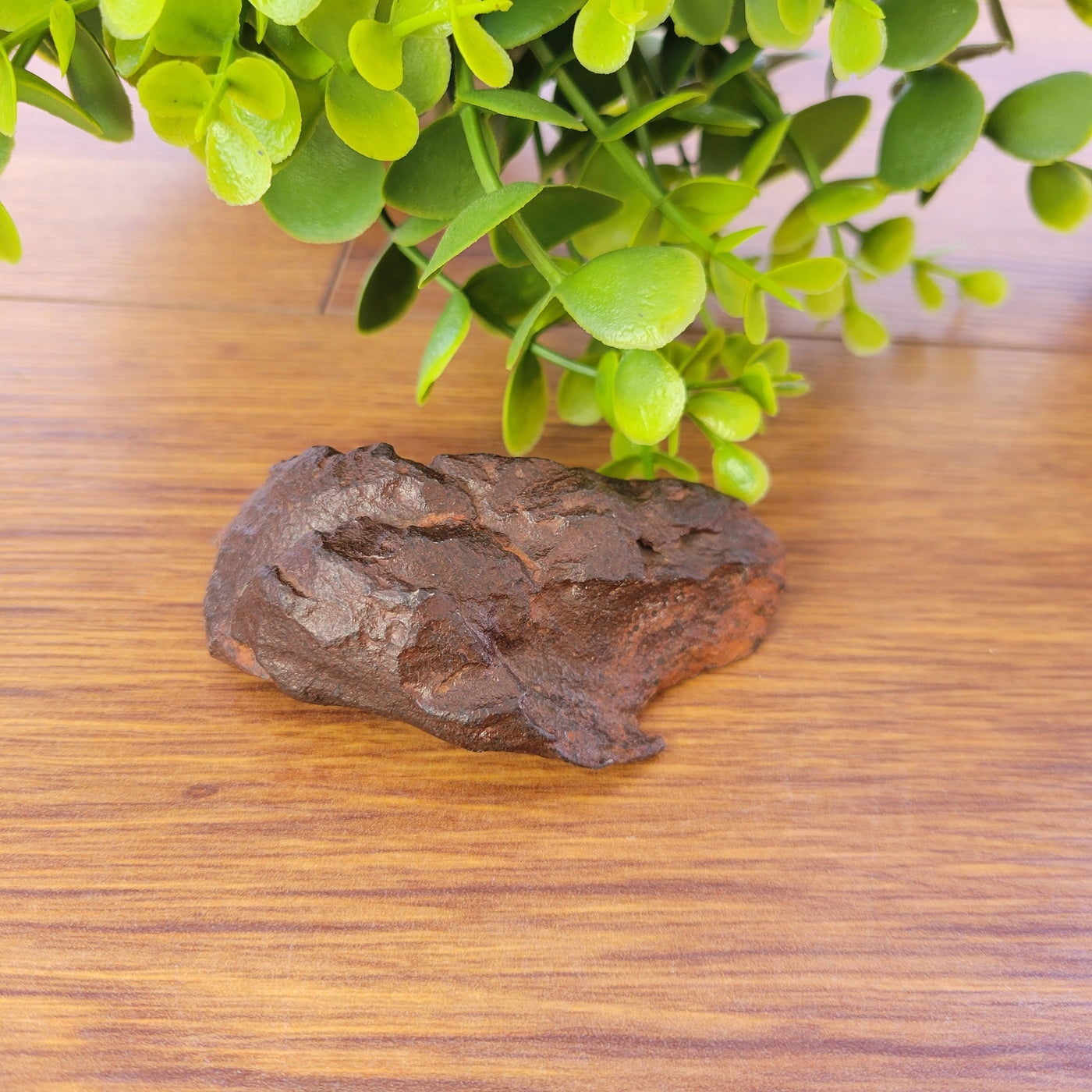 Henbury Nickel-Iron Meteorite