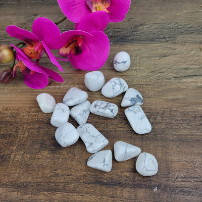 Howlite Tumbled 1" *Sold Individually*