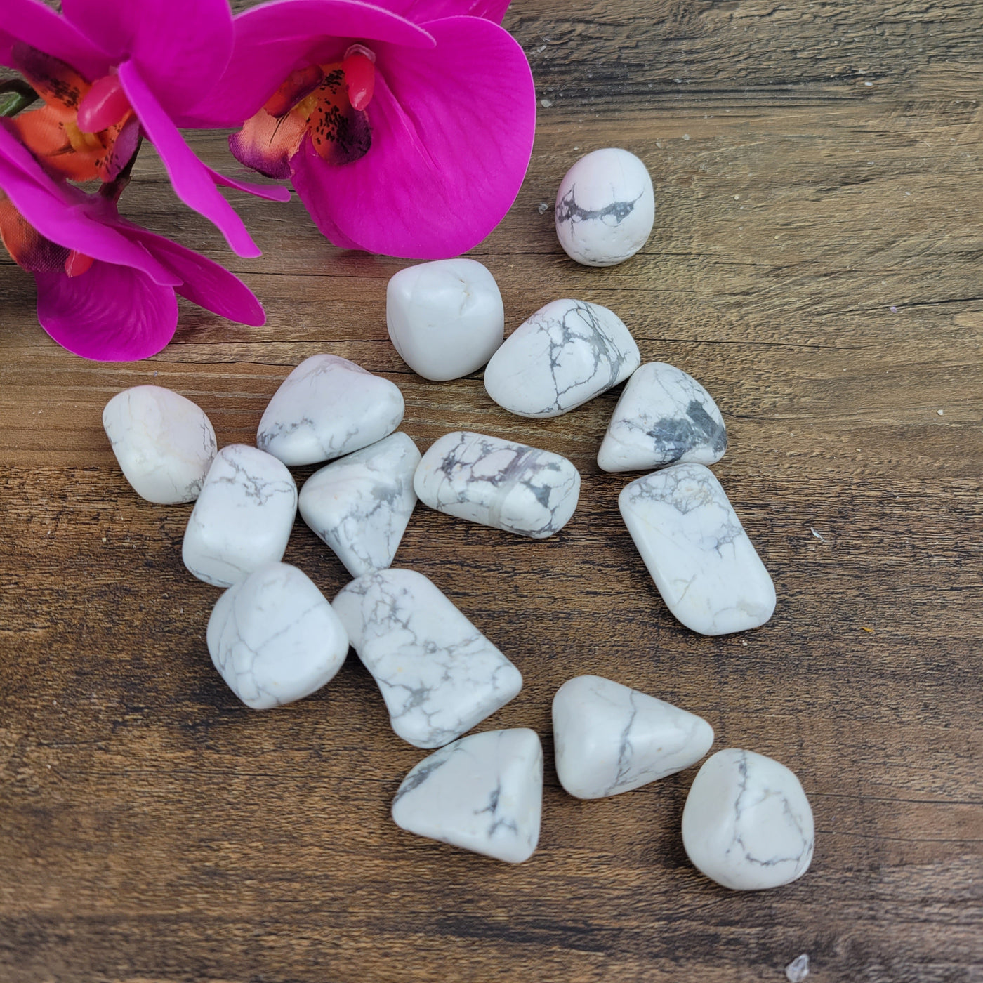 Howlite Tumbled 1" *Sold Individually*