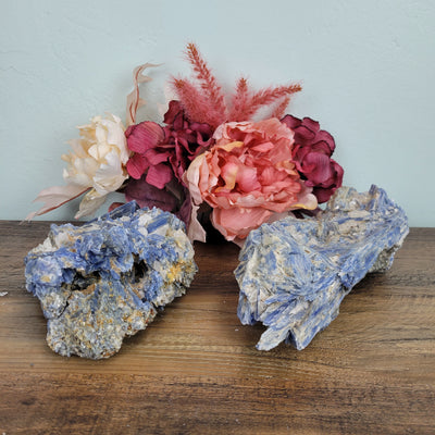 Kyanite Rough Statement Pieces 8" to 9"