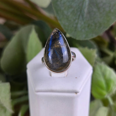 Labradorite Polished Ring `~1" Sterling Silver Adjustable Freeform Ring