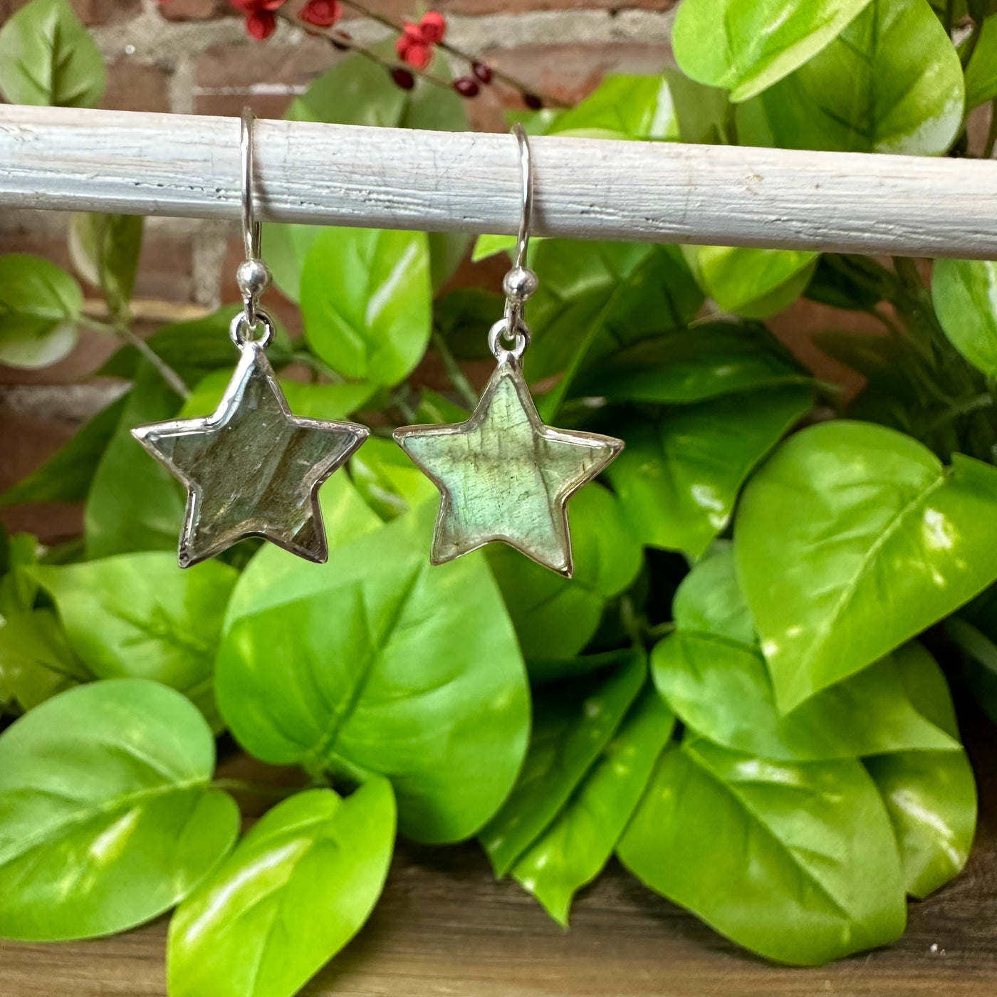 Labradorite Star sterling silver Earrings 0.5" gemstone