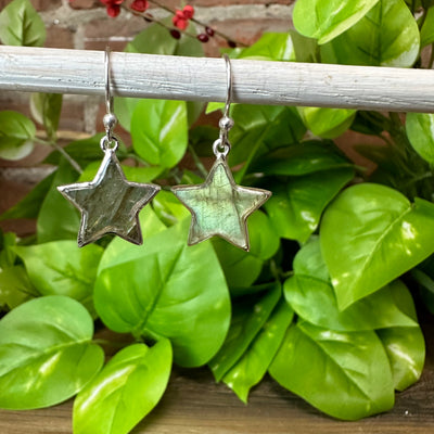 Labradorite Star sterling silver Earrings 0.5" gemstone