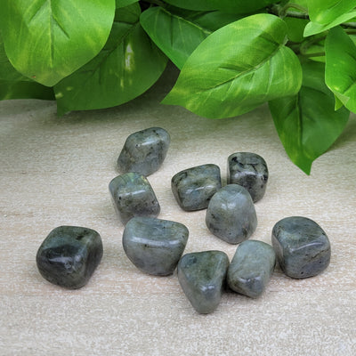 Labradorite Tumbled 1" *Sold Individually*