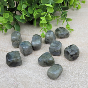 Labradorite Tumbled 1" *Sold Individually*