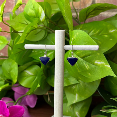 Lapis Lazuli Polished Earrings in Sterling Silver (Assorted Shapes)