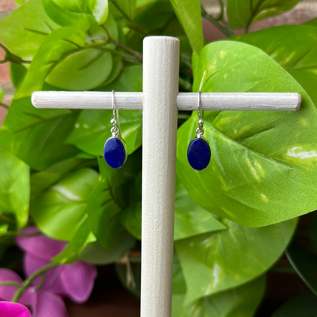 Lapis Lazuli Polished Earrings in Sterling Silver (Assorted Shapes)