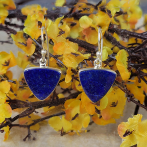 Lapis Lazuli Polished Earrings in Sterling Silver (Assorted Shapes)