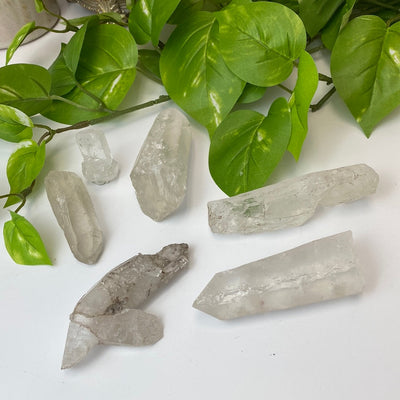 "Lightning Struck" Quartz (2” to 8”)