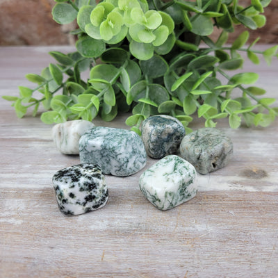 Moss Agate Tumbled *Sold Individually*