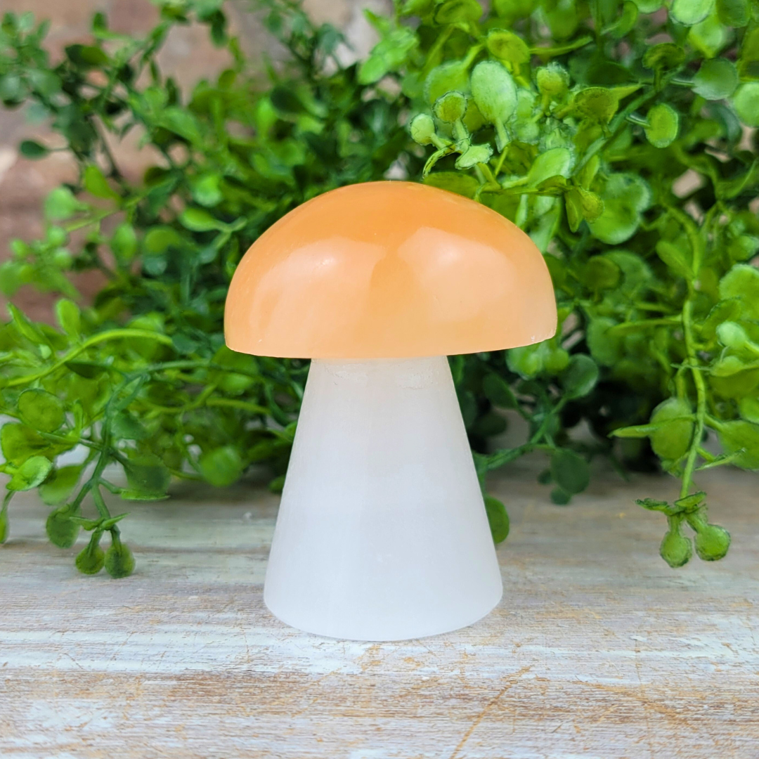 Peach Selenite Mushroom 2.5"