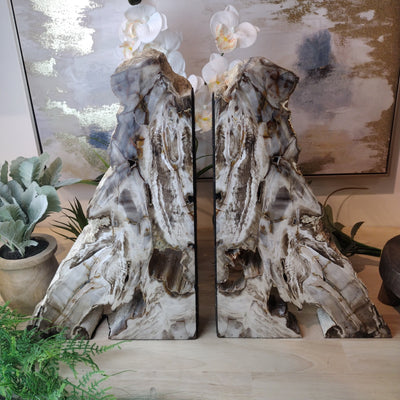 Petrified Sequoia Wood Bookends Washington 10" x 16" x 2.5"