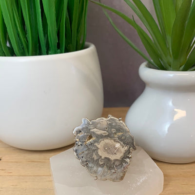 Petrified Wood Ring 1" with sterling silver Adjustable Band