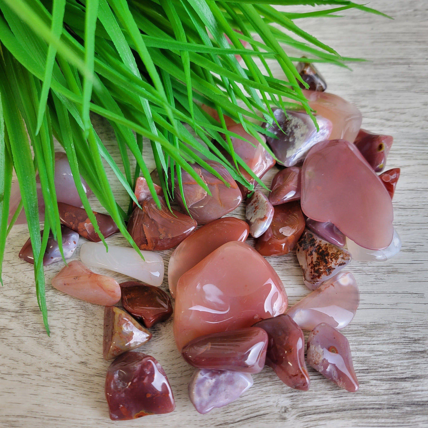 Pigeon Blood Agate .5" - 1" *Sold Individually*