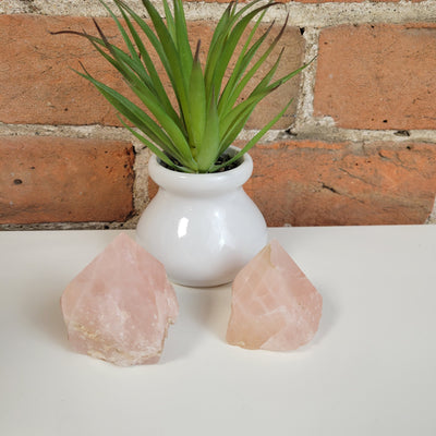 Polished Gemstone Points 2-3" Sodalite and Rose Quartz