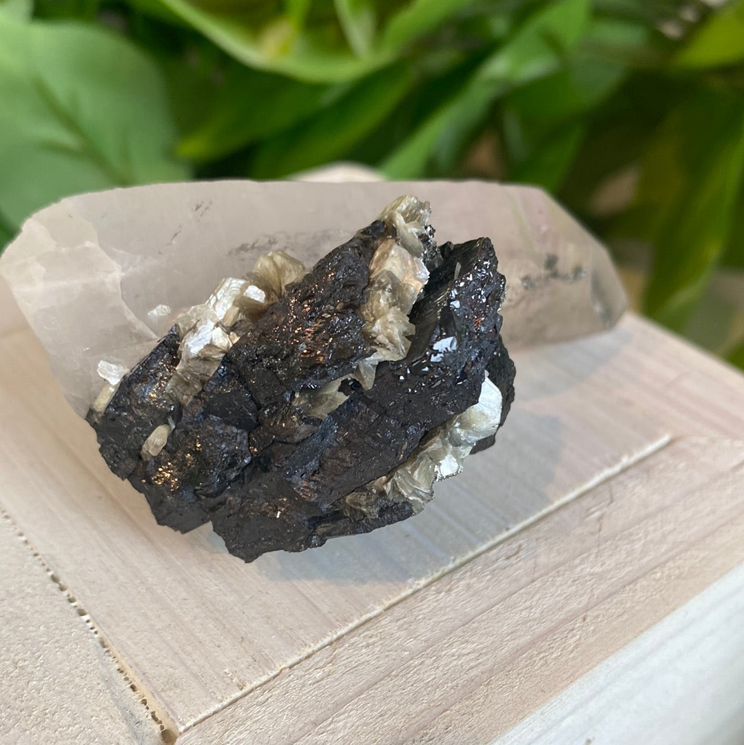 Quartz with Arsenopyrite and Chalcopyrite 4” x 2”