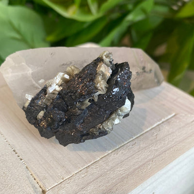 Quartz with Arsenopyrite and Chalcopyrite 4” x 2”