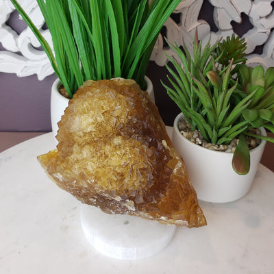 Raw Yellow Fluorite Specimen Mexico 5' - 10'