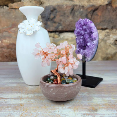 Rose Quartz Gemstone Tree in Ceramic Bowl