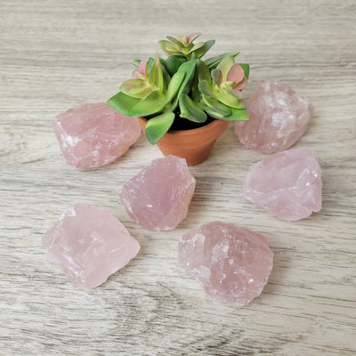 Rose Quartz Rough 1-2" *Sold Individually*