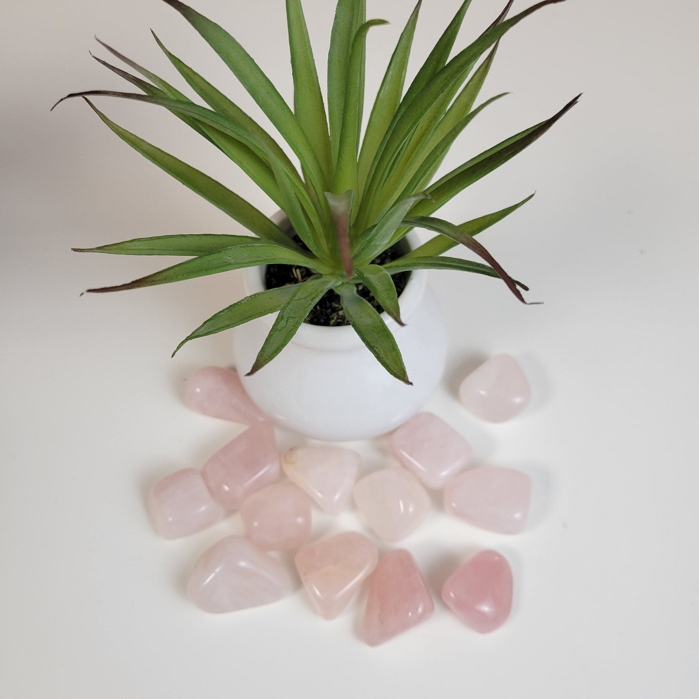 Rose Quartz Tumbled 0.5-1" *Sold Individually*