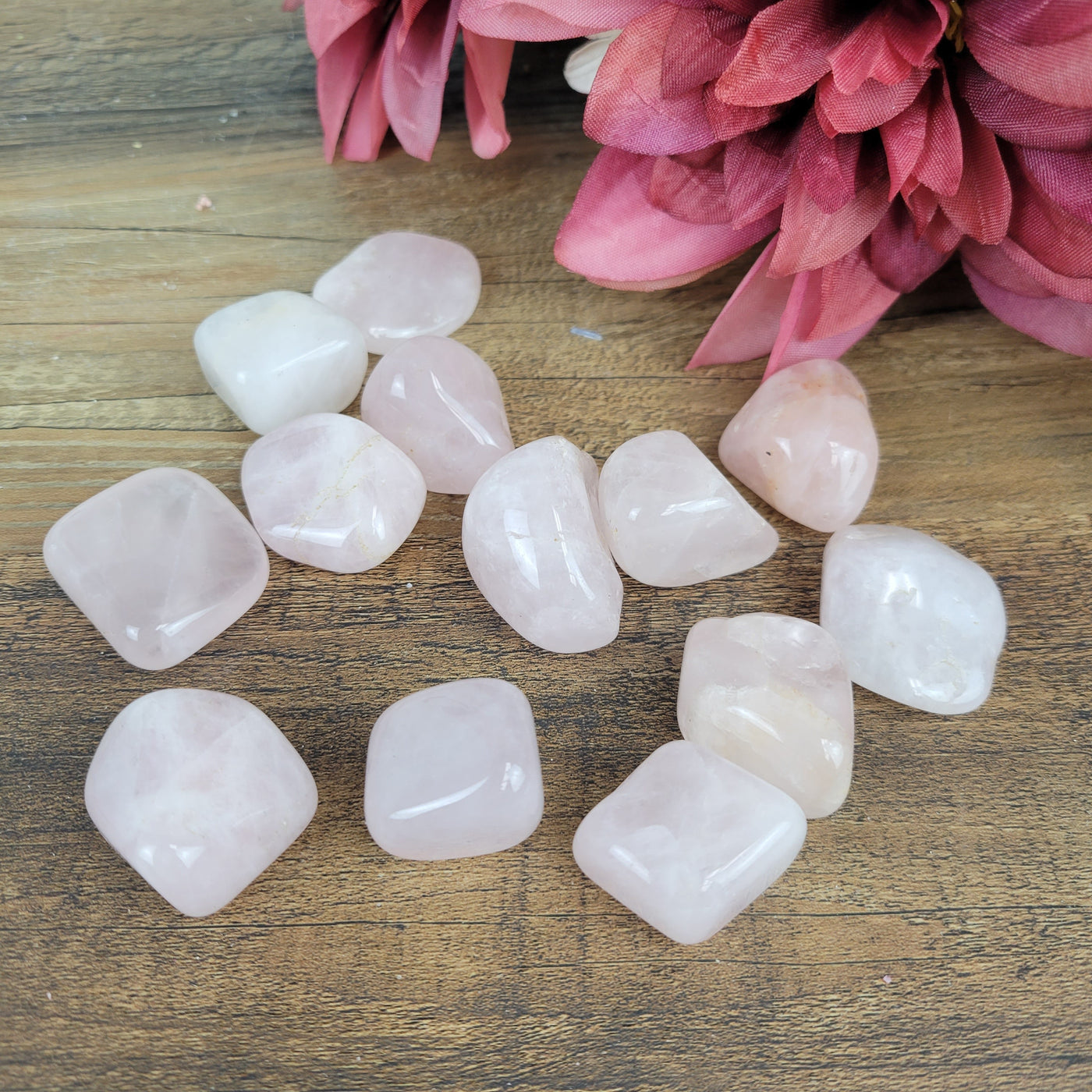 Rose Quartz Tumbled 0.5-1" *Sold Individually*