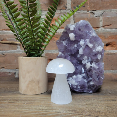 Selenite Mushroom 3"