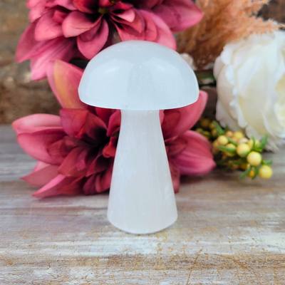 Selenite Mushroom 4"