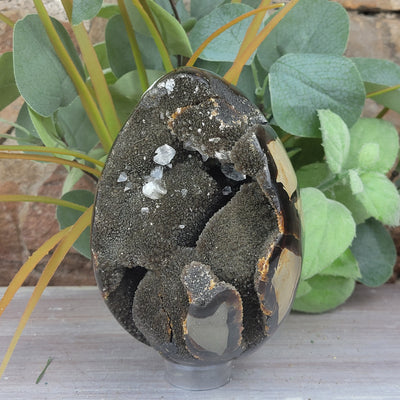 Septarian Dragon Egg with Geode Center 1.4kg
