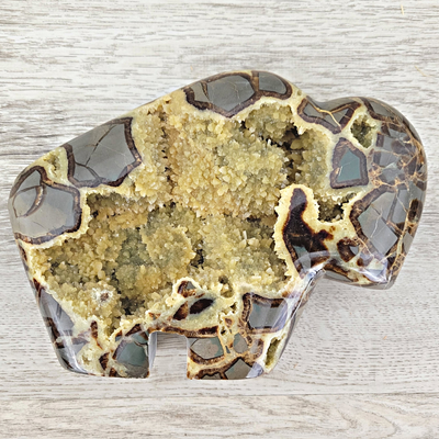 Septarian Geode Carved Buffalo- 6"