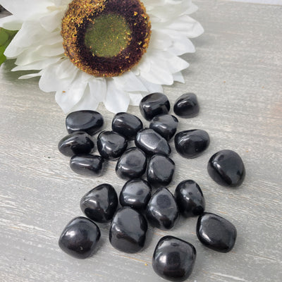 Shungite Tumbled 1" Stone *Sold Individually*