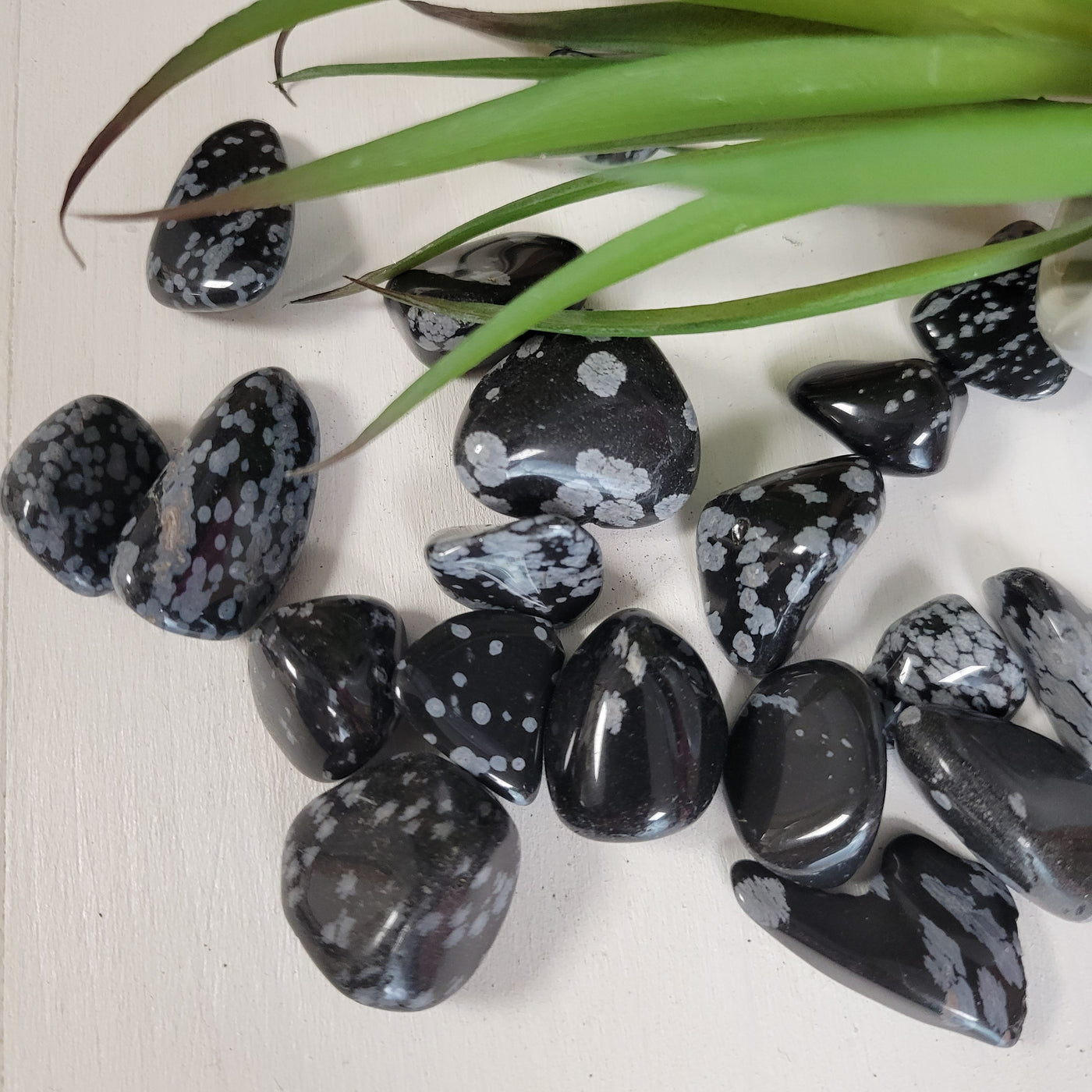Snowflake Obsidian Tumbled Stones 1"