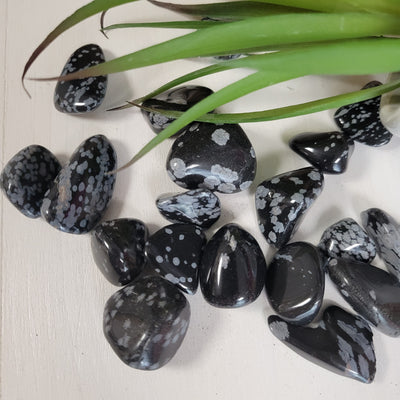 Snowflake Obsidian Tumbled Stones 1" *Sold Individually*