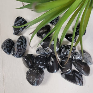 Snowflake Obsidian Tumbled Stones 1" *Sold Individually*