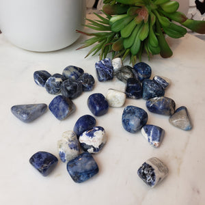 Sodalite Tumbled 0.5-1" *Sold Individually*