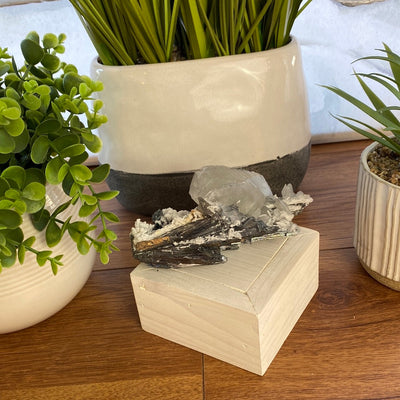 Stibnite and Calcite Cluster 6 x 3”