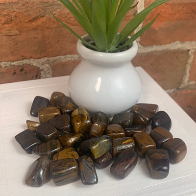 Tiger Eye Tumbled Stones 1" *Sold Individually*