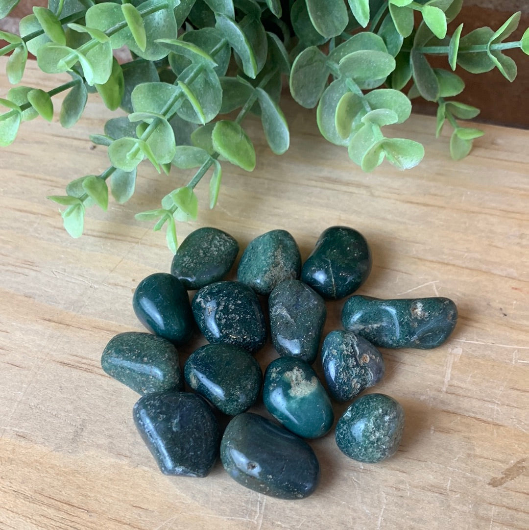 Tree Agate Tumbled 1
