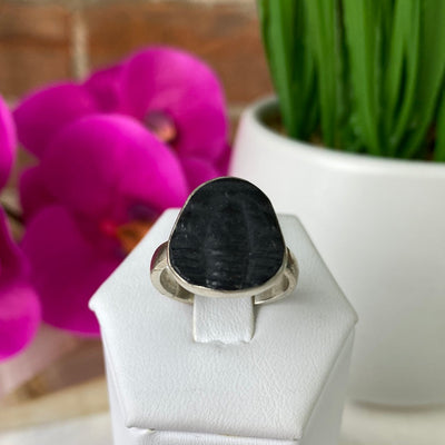 Trilobite Fossil Ring set in Sterling Silver Sized Band .75"