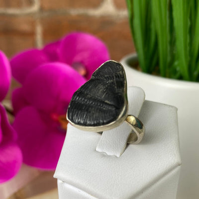 Trilobite Fossil Ring set in sterling silver Sized Band .75"