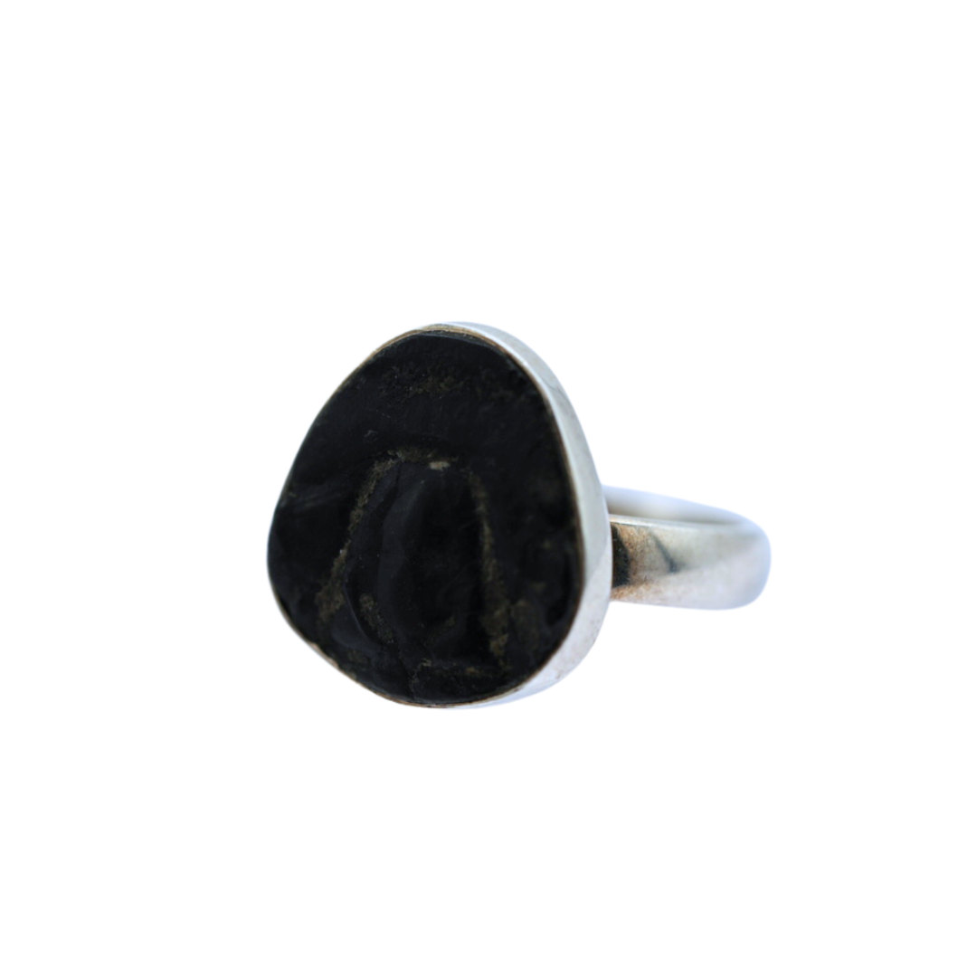 Trilobite Fossil Ring set in sterling silver Sized Band .75"