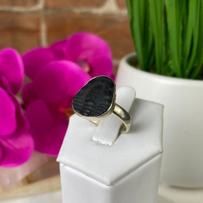 Trilobite Fossil Ring set in sterling silver Sized Band .75"